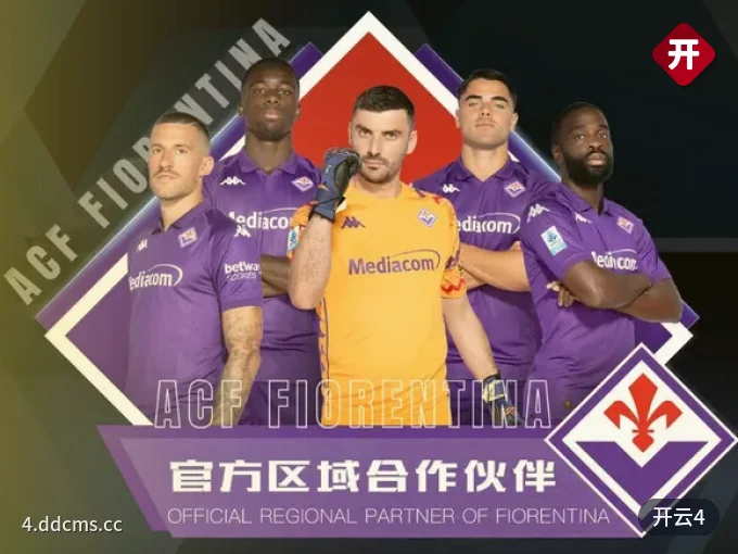 观赛指引